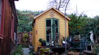 P1000551