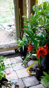 P1000777